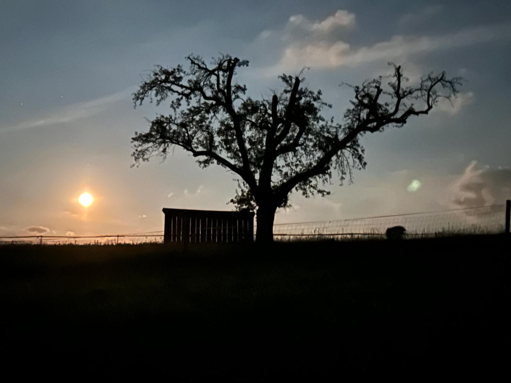 Pension Bauernhaus Vetter Gohrisch Bagian luar foto